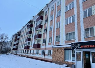 Продаю комнату, 45.7 м2, Зеленодольск, улица Энгельса, 13