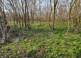 Участок на продажу, 15 сот., село Дивное, Центральная улица