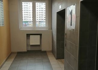 Сдача в аренду 1-ком. квартиры, 37.4 м2, Санкт-Петербург, Дальневосточный проспект, 25к1