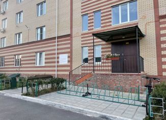 1-комнатная квартира на продажу, 24.6 м2, деревня Сарафаново, Рассветная улица, 4