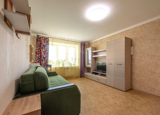 1-ком. квартира на продажу, 38.6 м2, посёлок Красный Бор, Мирная улица, 9