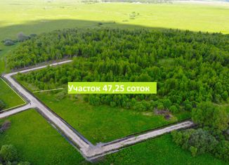 Продам земельный участок, 47 сот., деревня Горохово