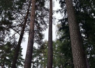 Продаю земельный участок, 16 сот., посёлок городского типа Загорянский, Теннисная улица, 33