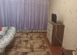 Сдача в аренду 2-комнатной квартиры, 39 м2, Новосокольники, Советская улица, 17