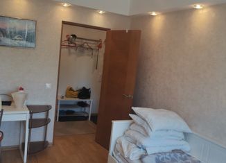 Продажа 2-комнатной квартиры, 45.5 м2, Санкт-Петербург, проспект Косыгина, 9к2