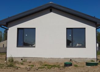 Продажа дома, 60 м2, деревня Беляницы, Луговая улица