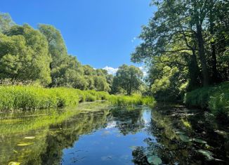 Продам земельный участок, 15 сот., деревня Лисенки, Вербный проезд