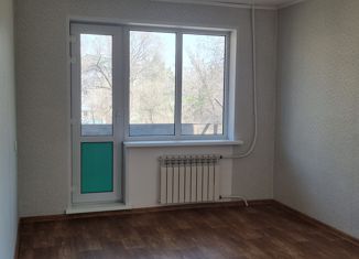Продается двухкомнатная квартира, 41.9 м2, Арсеньев, Октябрьская улица, 14/1