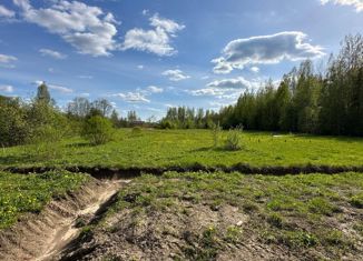 Земельный участок на продажу, 10 сот., Новгородская область