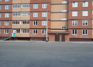 Сдача в аренду однокомнатной квартиры, 35 м2, Сосновоборск, Весенняя улица, 34