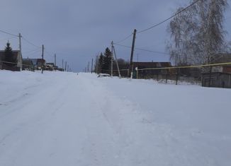 Продажа дома, 40 м2, деревня Каинки, Центральная улица