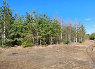 Продажа участка, 10 сот., деревня Полуниха