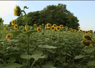 Продаю участок, 3700 сот., Ростовская область, Мишкинская улица