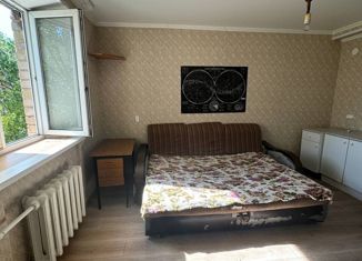 Продаю 1-комнатную квартиру, 30 м2, Оренбургская область, улица Розы Люксембург, 41