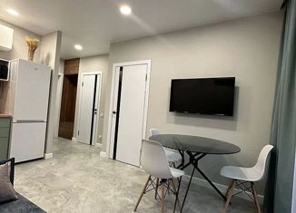 Продаю 1-комнатную квартиру, 36 м2, Сочи, переулок Трунова, 6к1, ЖК Альпийский Квартал