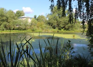 Участок на продажу, 12 сот., деревня Ивонино, деревня Ивонино, 34