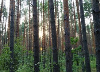 Продаю земельный участок, 2500 сот., село Мурань