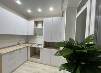 Продаю 1-ком. квартиру, 40 м2, Йошкар-Ола, улица Йывана Кырли, 33А, микрорайон Дружный