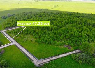 Земельный участок на продажу, 47 сот., деревня Горохово