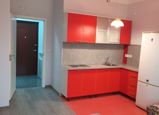 Продам квартиру студию, 25.8 м2, Санкт-Петербург, Республиканская улица, 24к1, Республиканская улица