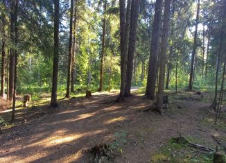 Продаю земельный участок, 7.67 сот., деревня Сярьги