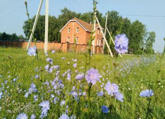 Продам дом, 287 м2, село Азово, Берёзовая улица, 1А