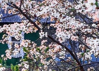 Дом на продажу, 44.5 м2, село Седельниково, Набережная улица