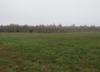 Продаю участок, 20000 сот., Сольцы, площадь Победы