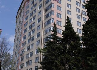 Продается двухкомнатная квартира, 60 м2, Сочи, Пасечная улица, 30, микрорайон Донская