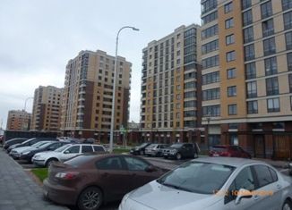 Однокомнатная квартира на продажу, 37.5 м2, городской посёлок Новоселье, Красносельское шоссе, 6, ЖК Ньюпитер