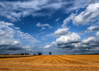 Продается земельный участок, 3018 сот., село Кневичи, Артёмовский переулок, 9