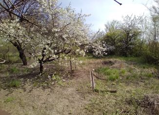 Продается дом, 20 м2, садоводческое некоммерческое товарищество Мичуринец-1, Центральная улица, 1