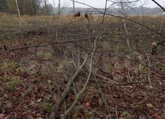 Продаю участок, 30 сот., деревня Носово