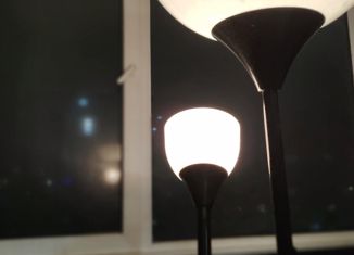 Продажа однокомнатной квартиры, 33.1 м2, Великий Новгород, Большая Санкт-Петербургская улица, 124Б, ЖК Тринити