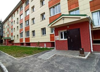 Продаю 1-комнатную квартиру, 30.2 м2, Нягань, Интернациональная улица, 82к2