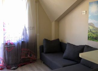 Квартира на продажу студия, 23.6 м2, Ольгинка, Заречная улица, 7Б