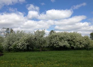 Продажа участка, 8 сот., деревня Насекина, Центральная улица