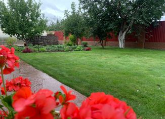 Продаю дом, 80 м2, СНТ Раздолье-1, Соловьиная улица, 48