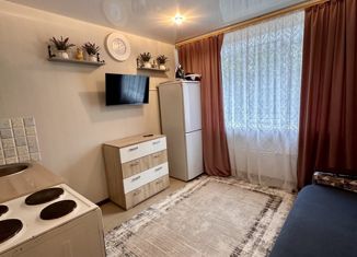 Продается квартира студия, 17 м2, Кемеровская область, улица Климасенко, 4