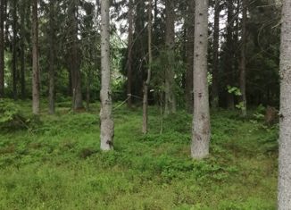 Участок на продажу, 15 сот., деревня Чёрная Лахта