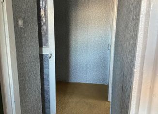 3-ком. квартира на продажу, 43 м2, хутор Рябичев, Театральная улица, 47
