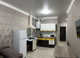 Продажа 1-ком. квартиры, 43 м2, Сочи, Урожайная улица, 58, микрорайон Весёлое