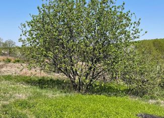 Продается участок, 800 сот., село Васильевка, Комсомольская улица