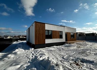 Продается дом, 102.6 м2, село Семёновское, улица Мира