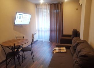 Продажа квартиры студии, 29 м2, Сочи, переулок Горького, 24к1, ЖК Сокол