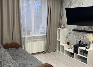 Продажа 1-комнатной квартиры, 25.2 м2, Нижний Новгород, улица Минеева, 3, улица Минеева