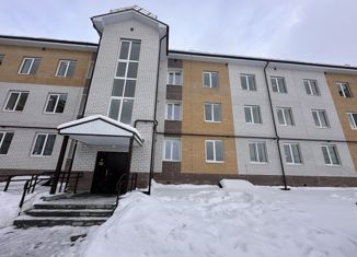 Продаю однокомнатную квартиру, 35 м2, Бор, Московская улица, 49