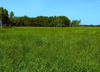 Продажа земельного участка, 9 сот., село Троицкое