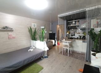 Продам квартиру студию, 25 м2, деревня Хохряки, Тепличная улица, 32