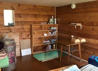 Дом на продажу, 33 м2, деревня Мухино, деревня Мухино, 27